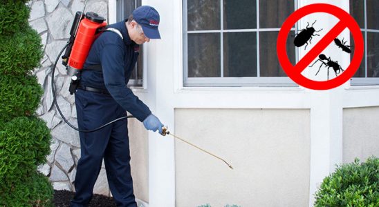 Çilimli Kemirgen İlaçlama böcek ilaçlama ve haşere kontrolü — ilaclama-tr.com